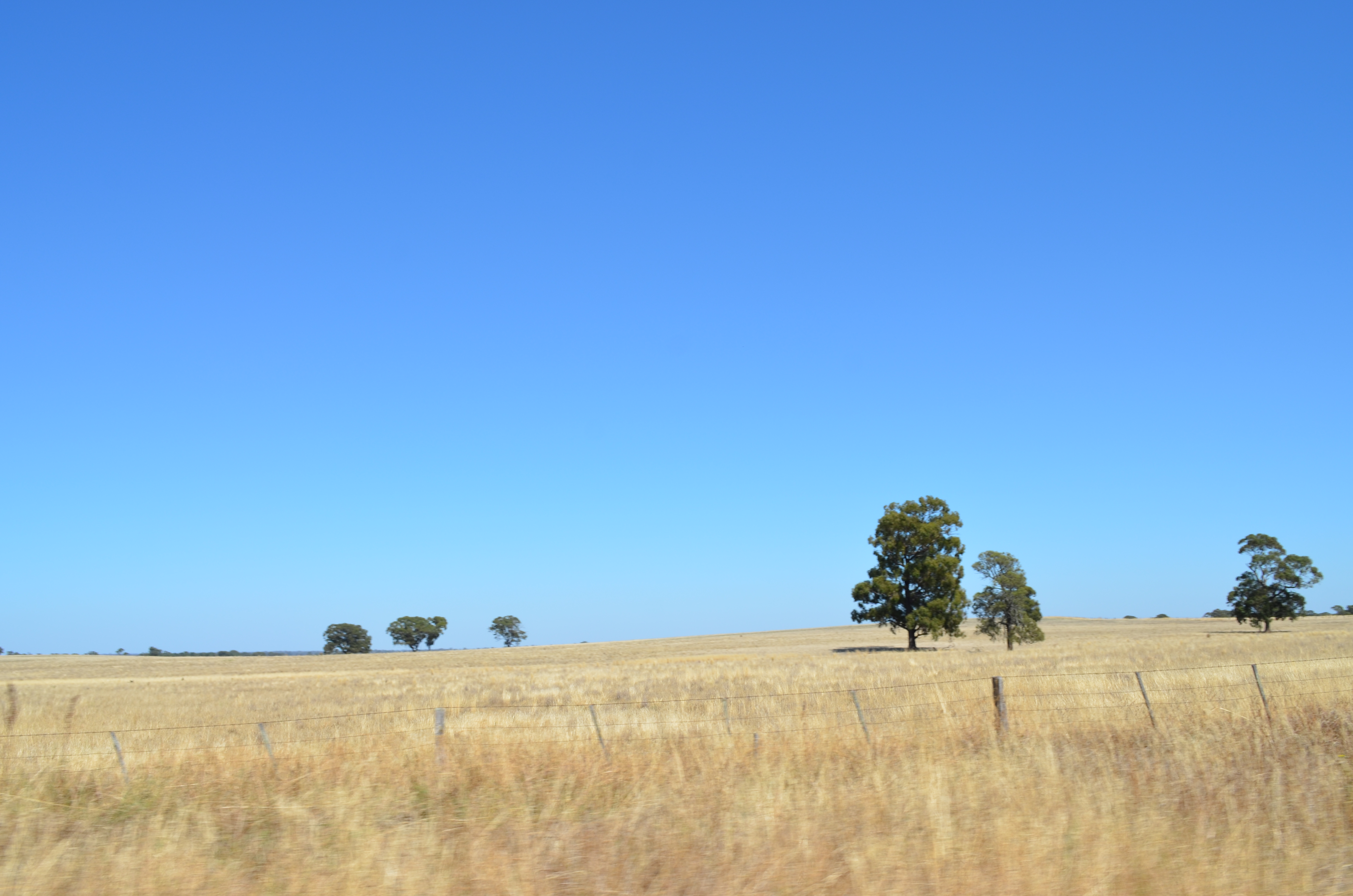 Narrandera